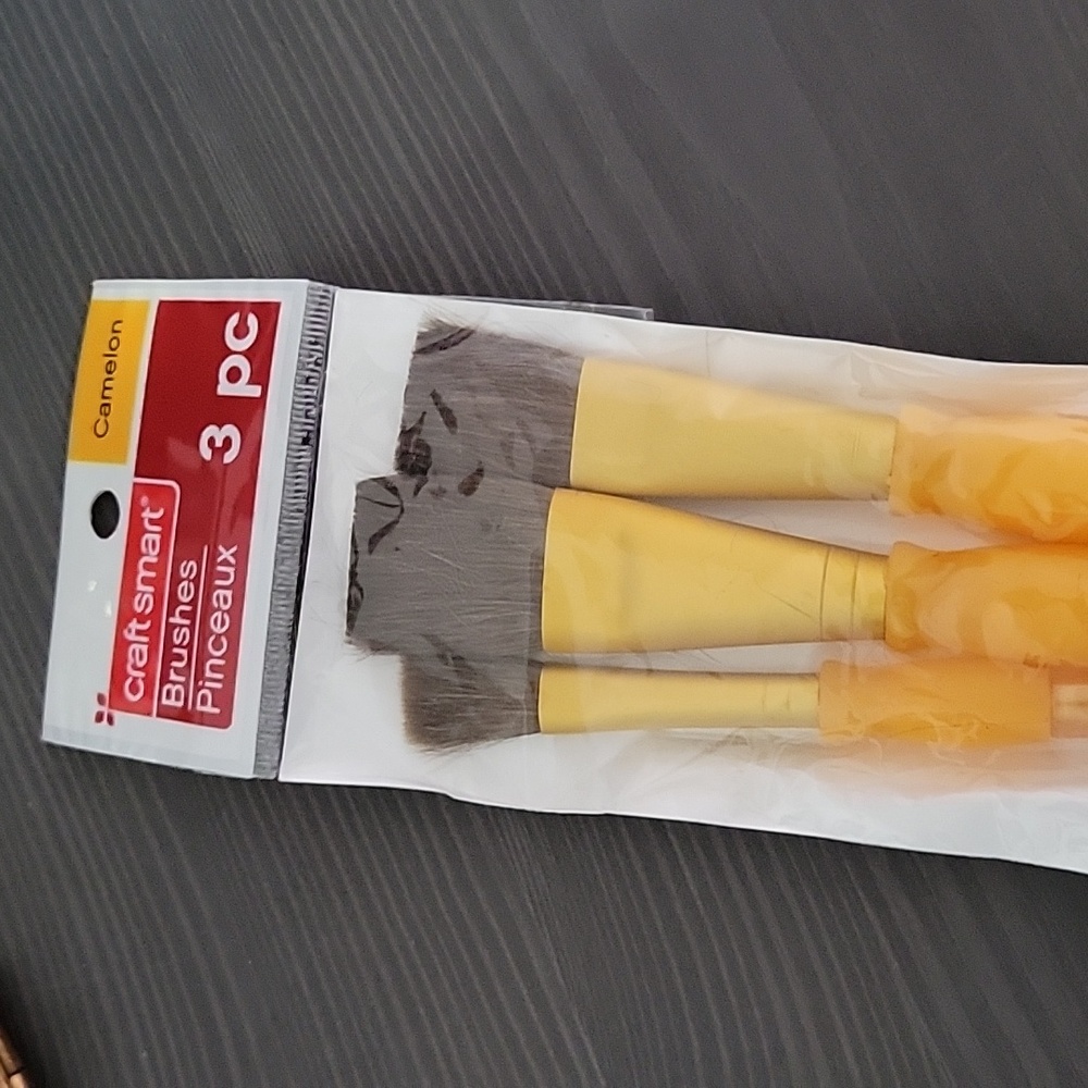 Craft Smart Paint brushes 3 piece set